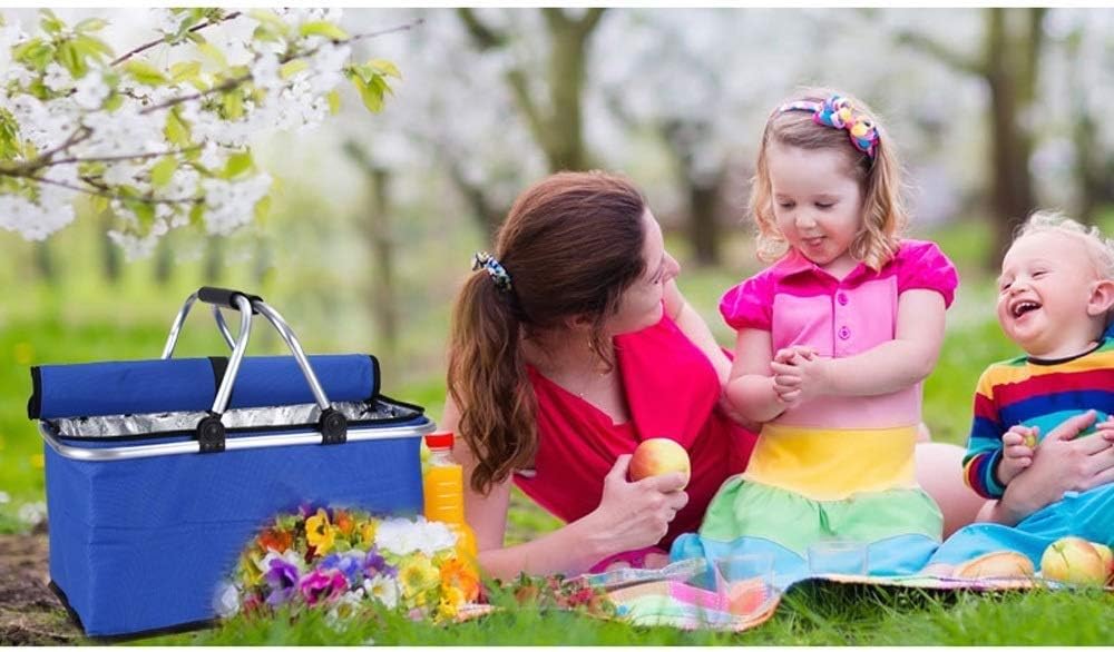 Insulated Folding Picnic Basket Cooler